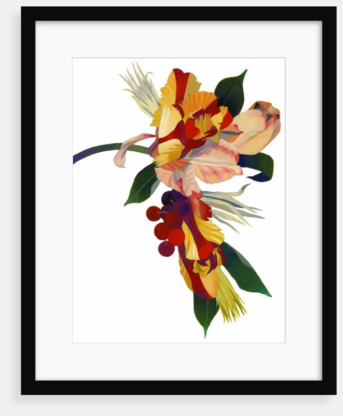 Tulip parrot1 by Hiroyuki Izutsu