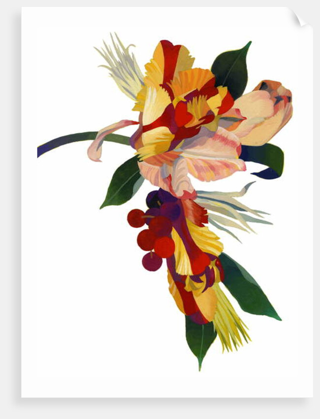 Tulip parrot1 by Hiroyuki Izutsu