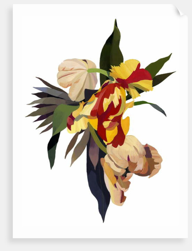 Tulip parrot 3, 2003 by Hiroyuki Izutsu