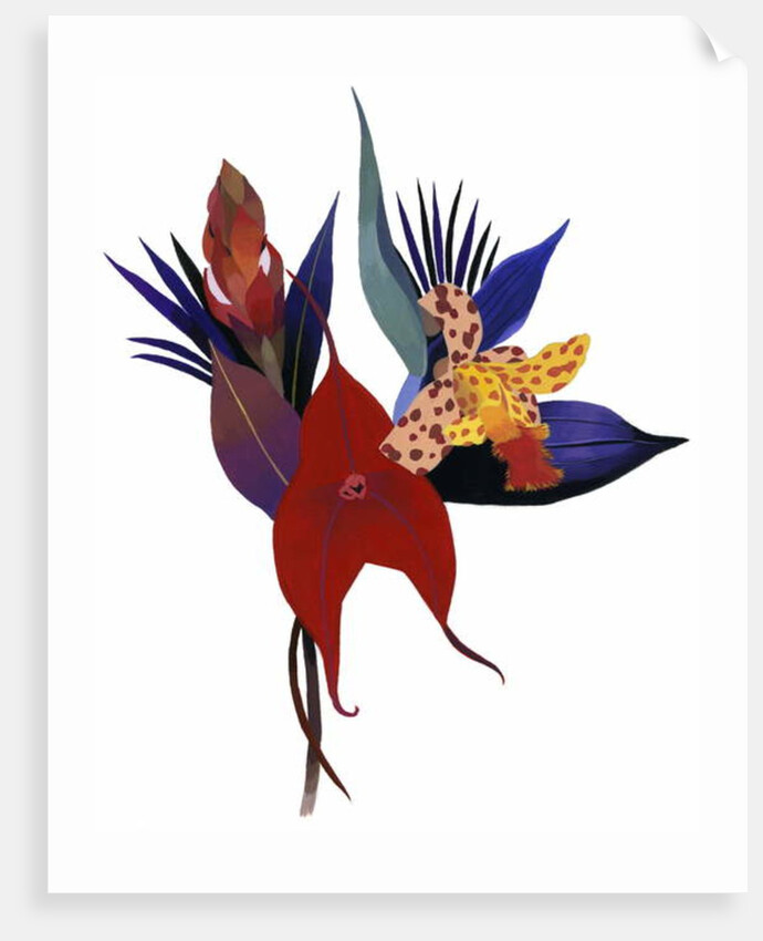 A flower reminiscent of a tropical country, 2003 by Hiroyuki Izutsu