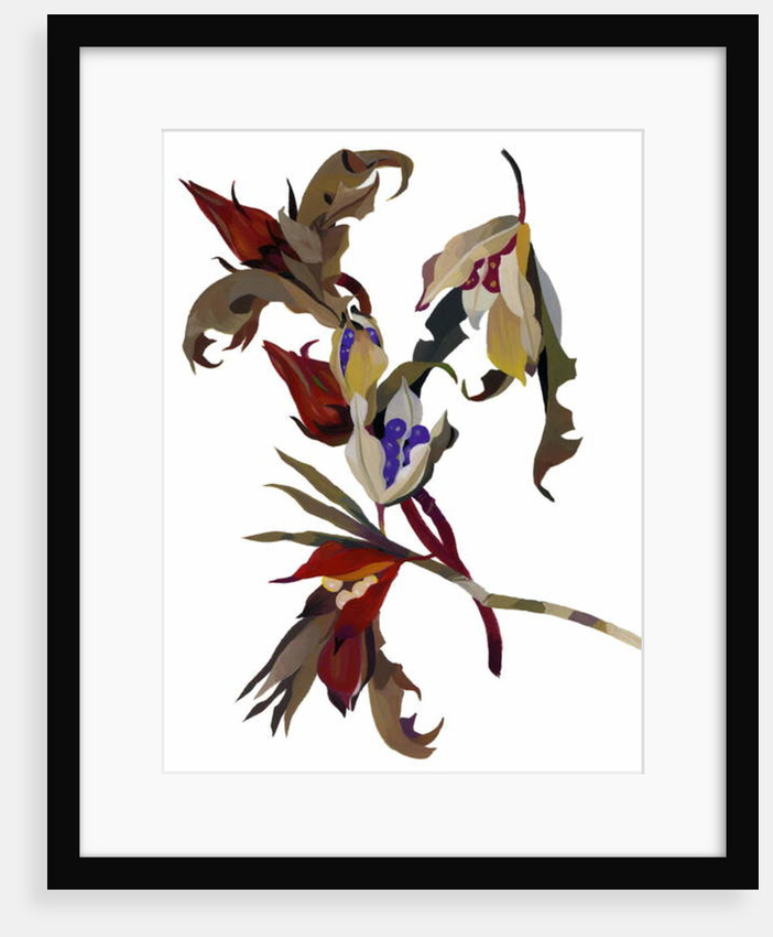 Winter-inspired flowers, 2003 by Hiroyuki Izutsu