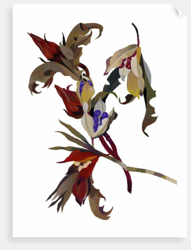 Winter-inspired flowers, 2003 by Hiroyuki Izutsu