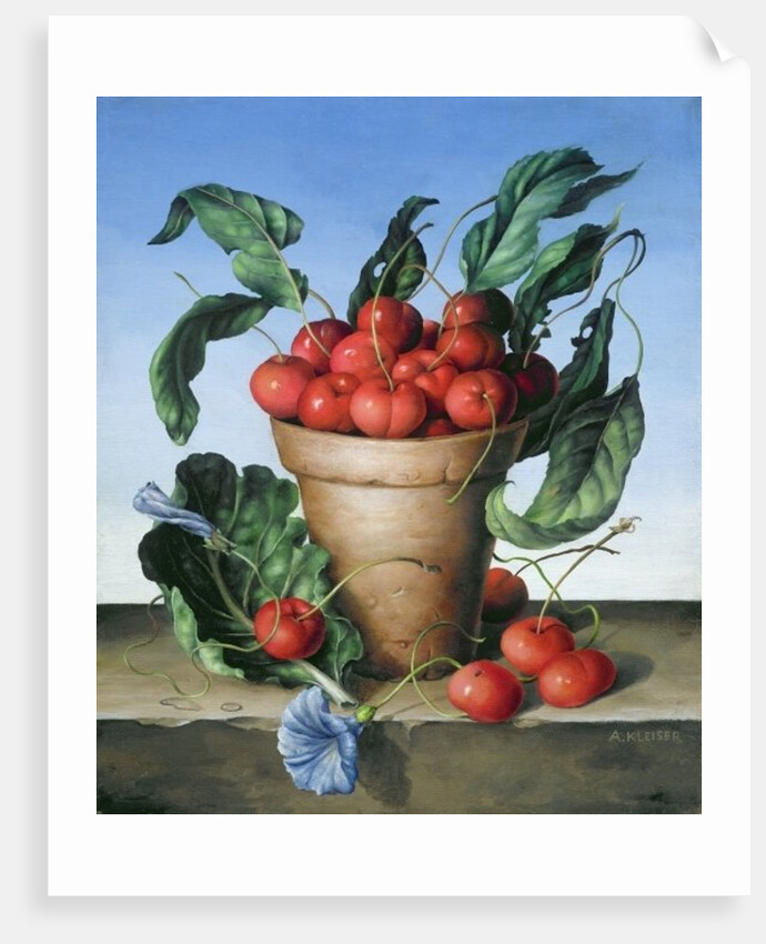 Cherries in terracotta with blue flower by Amelia Kleiser