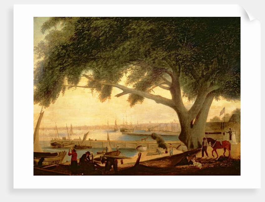 Penn's Treaty Tree by Thomas Birch