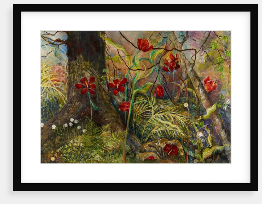 Feral Garden, 2017 by jocasta shakespeare