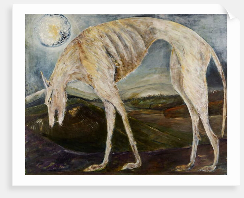 Gothic Hound, 2017 by jocasta shakespeare