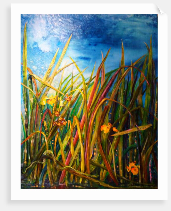 wild iris water snake, 2017 by jocasta shakespeare