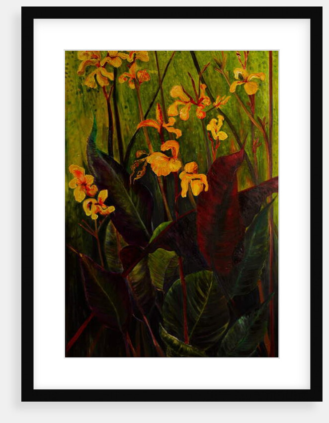 Canna Lily, 2017 by jocasta shakespeare