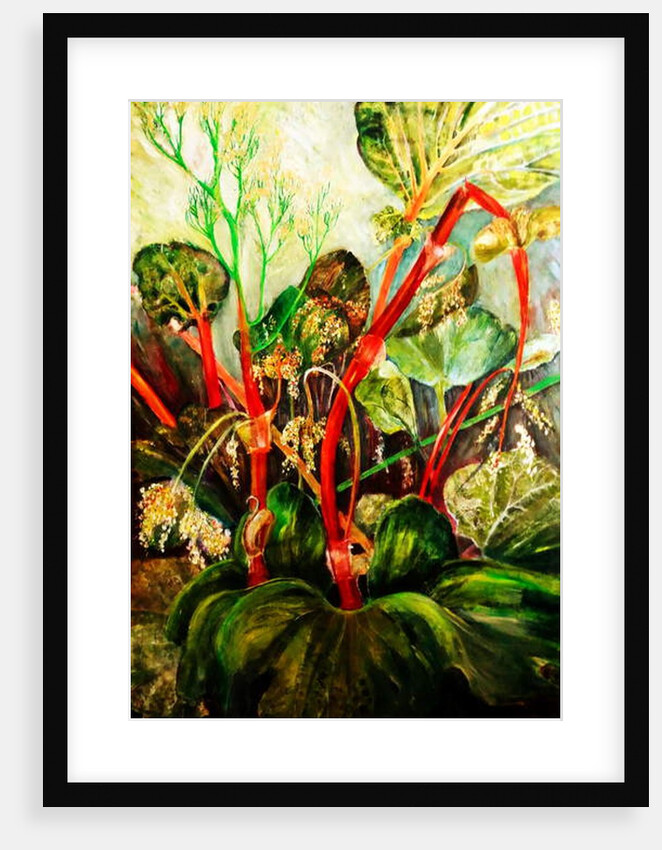 Flowering Rhubarb, 2018 by jocasta shakespeare
