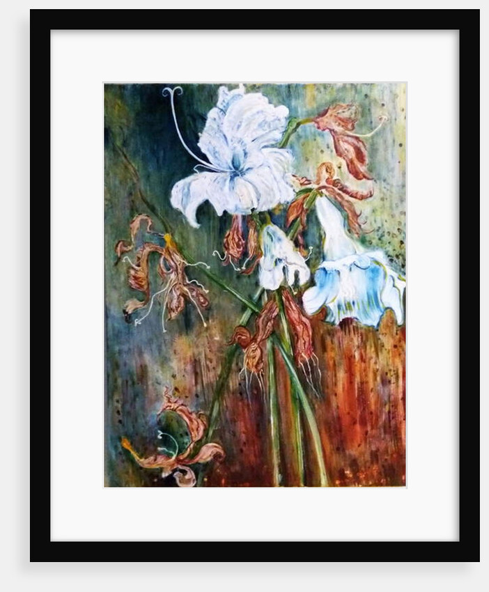 Lily Wilt, 2017 by jocasta shakespeare