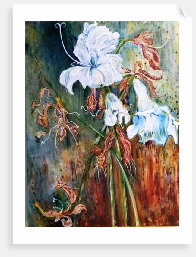 Lily Wilt, 2017 by jocasta shakespeare