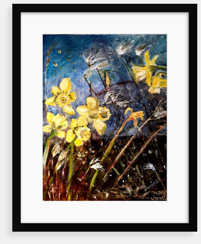 wild daffodils, 2018 by jocasta shakespeare