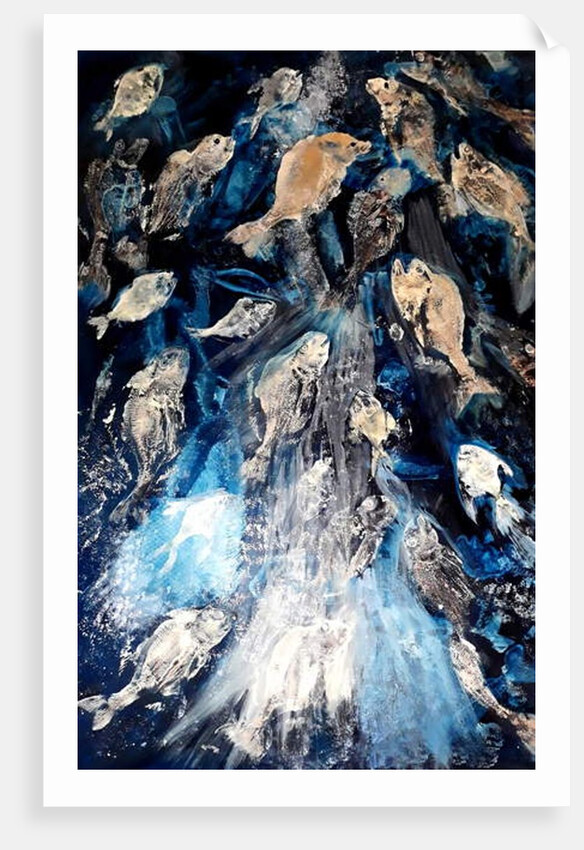 fish spawning, 2018 by jocasta shakespeare