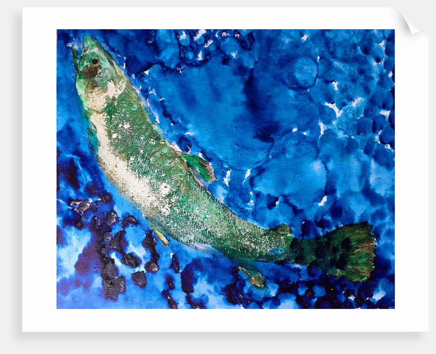 salmon, 2019 by jocasta shakespeare