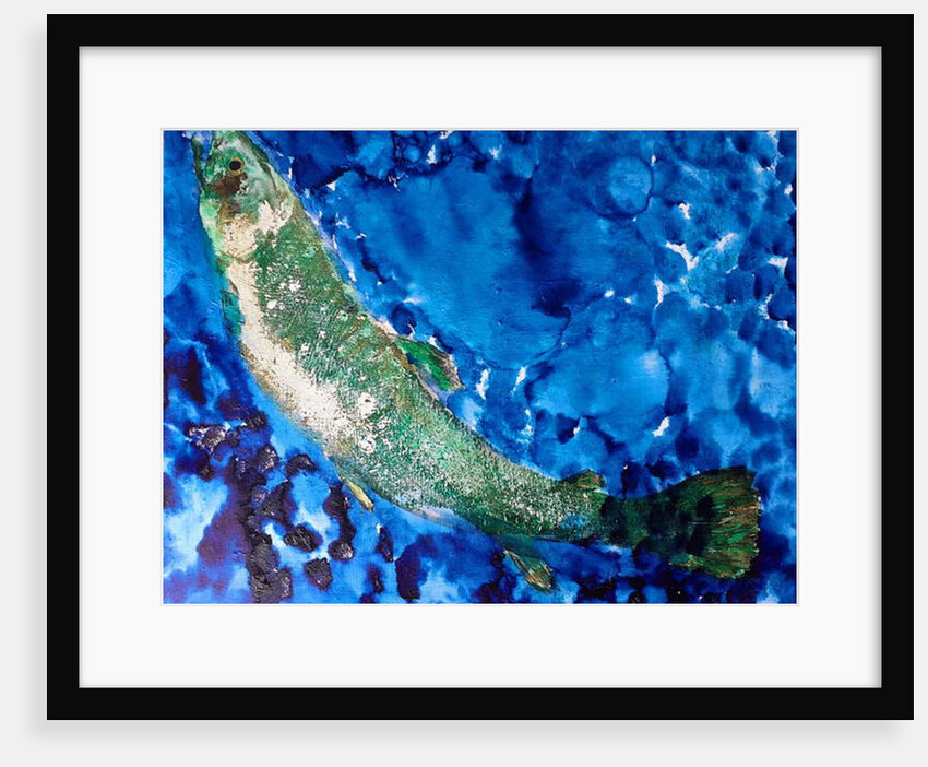 single Salmon with weed, 2019 by jocasta shakespeare