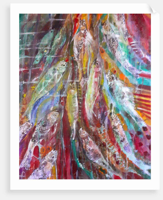 Rose and Marigold Seabass, 2019 by jocasta shakespeare