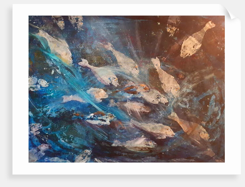 fish, 2019 by jocasta shakespeare