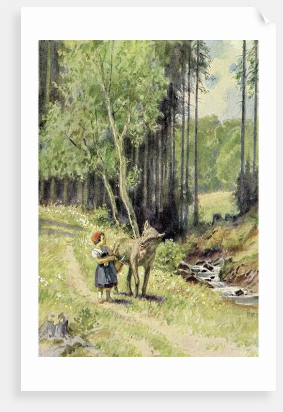 Little Red Riding Hood by Paul Hey