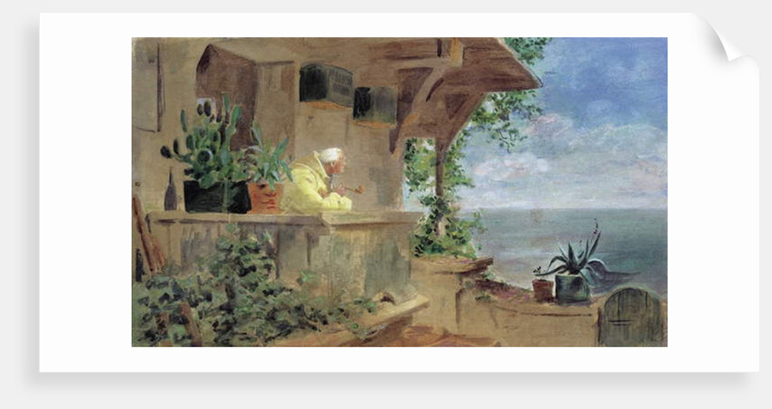 The Lookout by Carl Spitzweg
