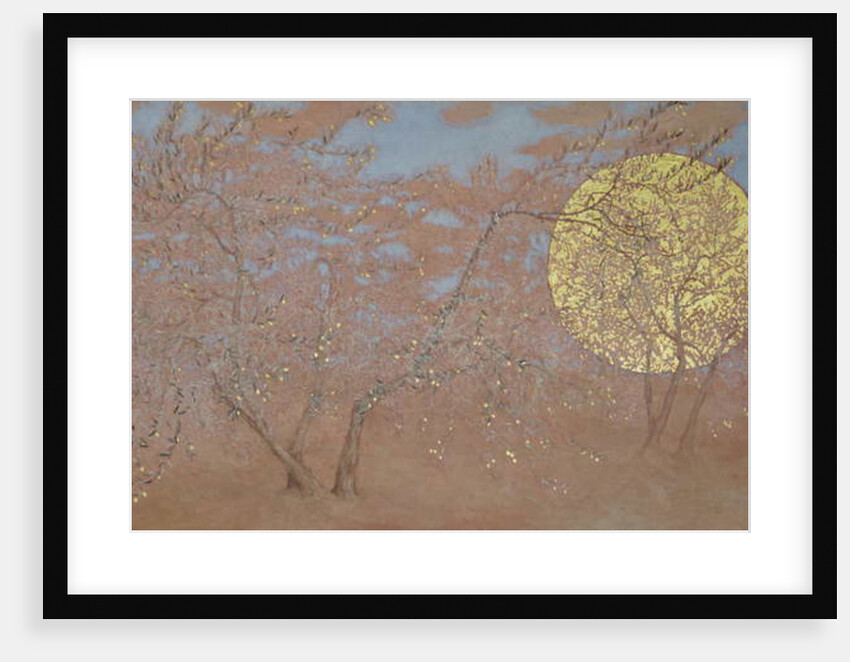 Enthusiasm, 2015 by Angus Hampel