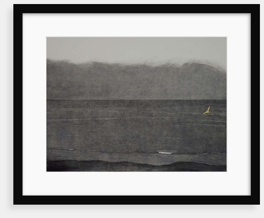 Silent flight, 2017 by Angus Hampel