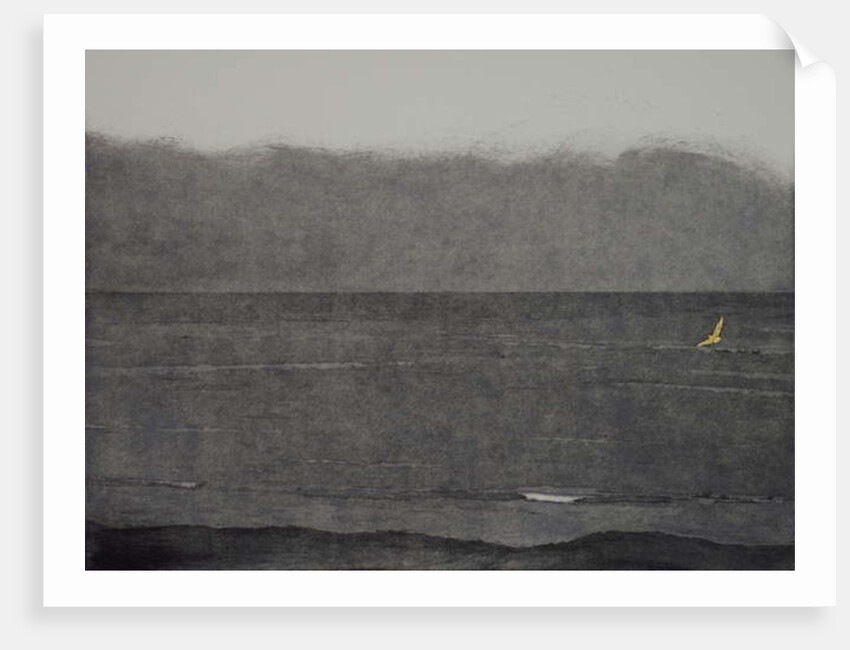 Silent flight, 2017 by Angus Hampel