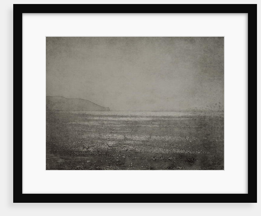 Play, 2017 by Angus Hampel