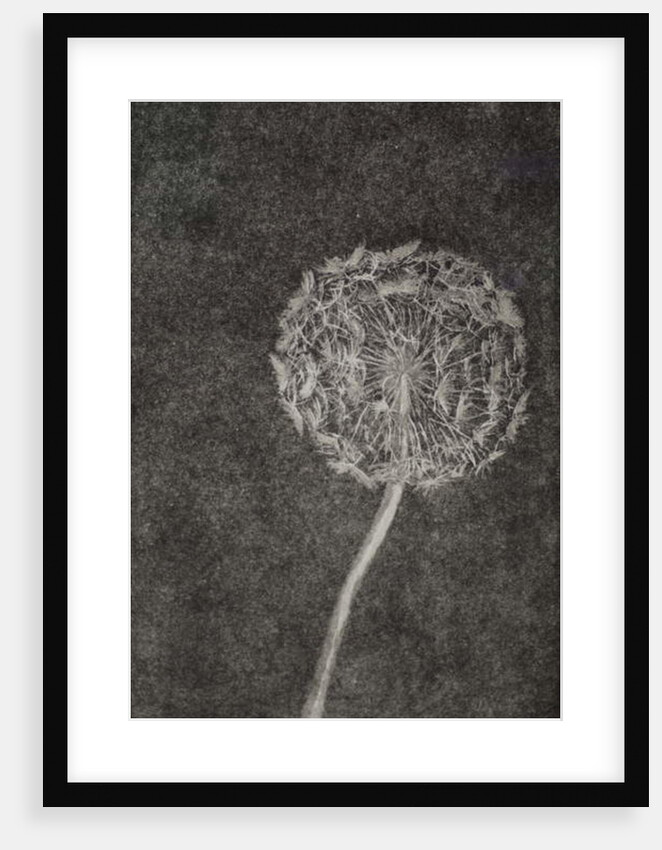 Watchmaker, 2017 by Angus Hampel