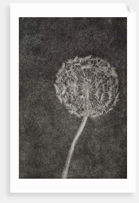 Watchmaker, 2017 by Angus Hampel