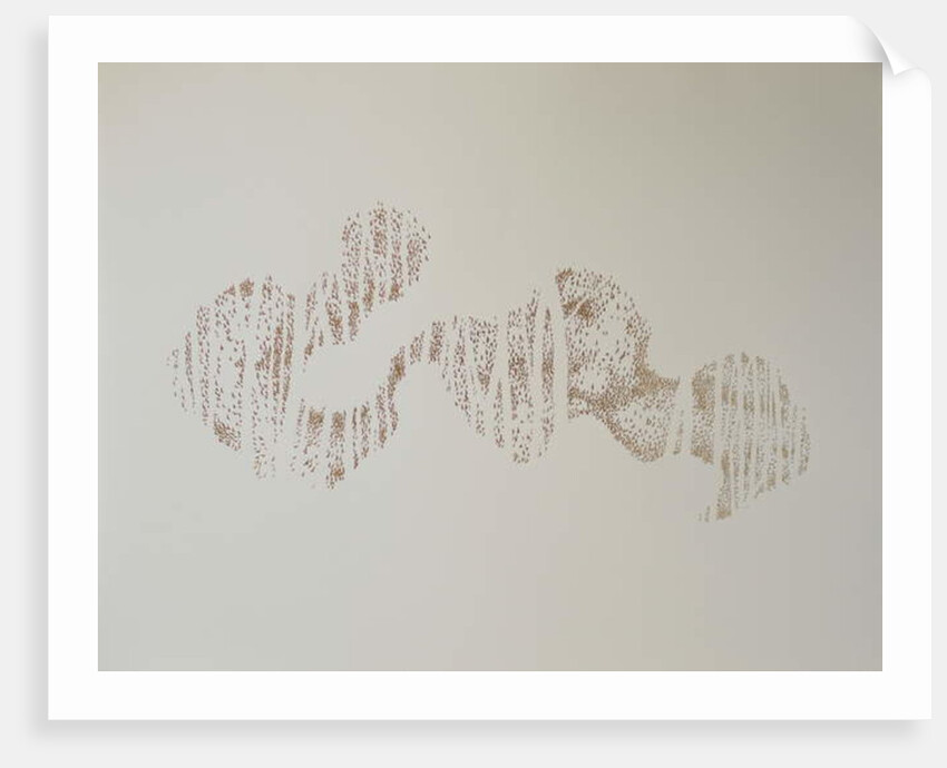 Murmuration of trees, 2017 by Angus Hampel