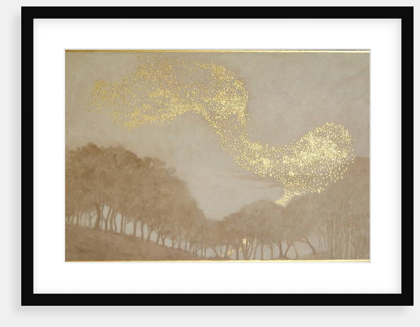 Murmuration of light, 2015 by Angus Hampel