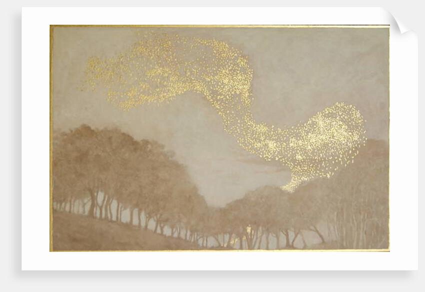 Murmuration of light, 2015 by Angus Hampel