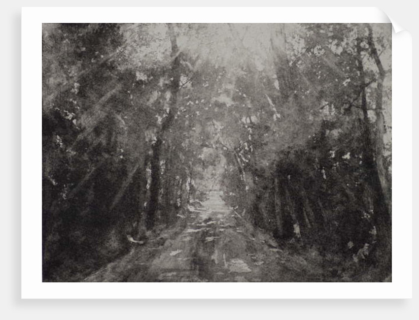 Hallelujah II, 2017 by Angus Hampel
