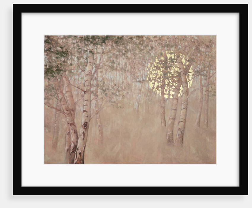 Hope, 2015 by Angus Hampel