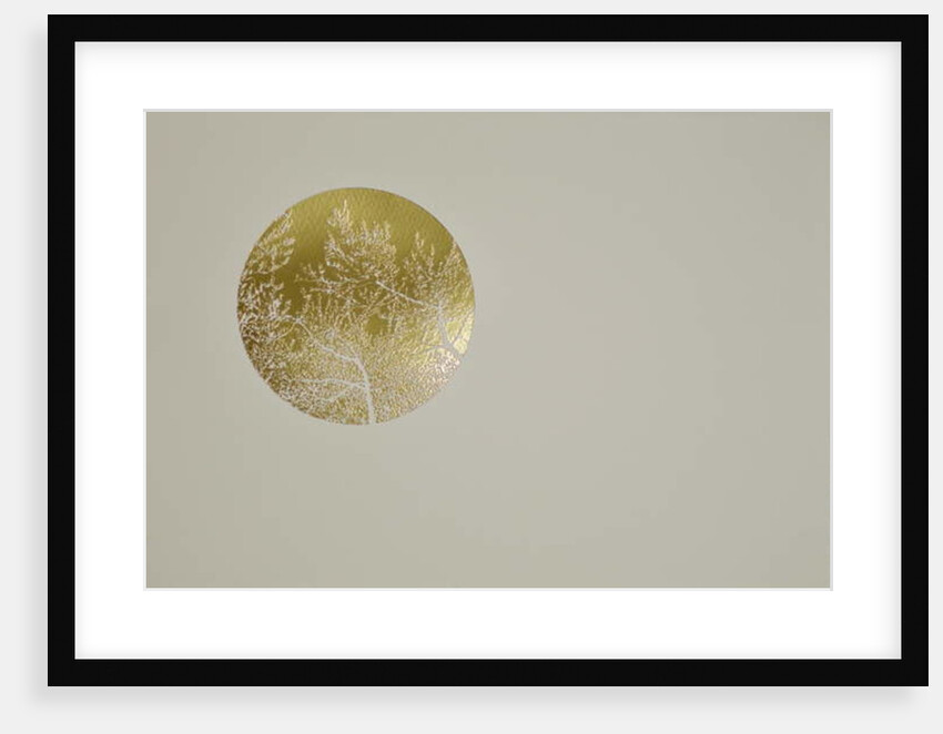 Silent olive, 2017 by Angus Hampel