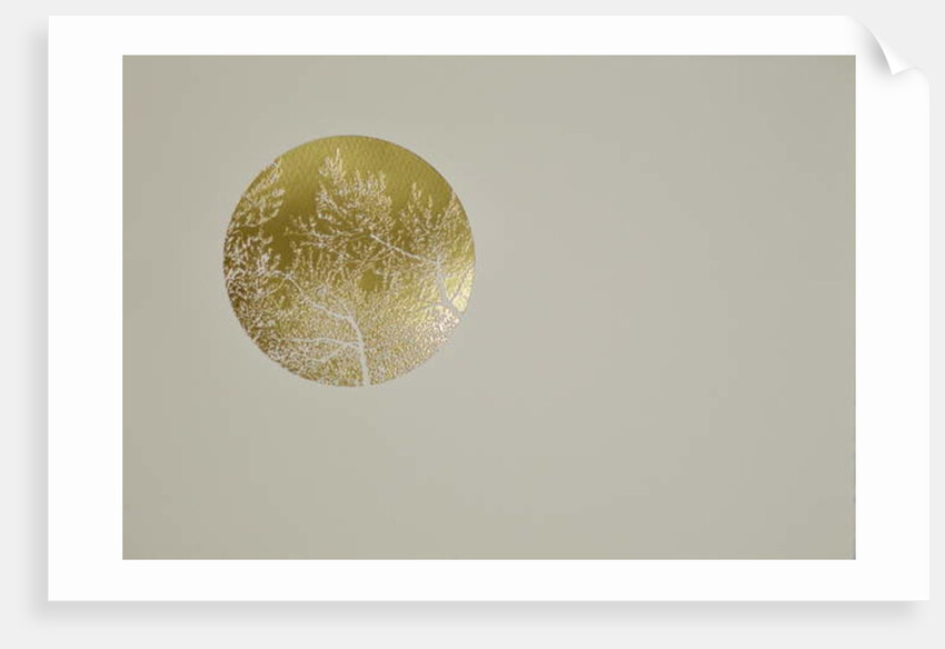 Silent olive, 2017 by Angus Hampel