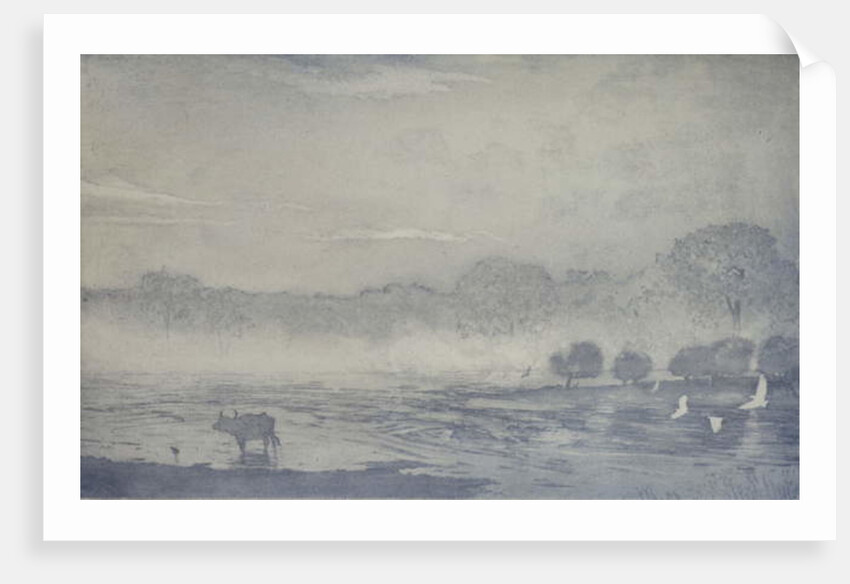 Three buffalo, 2016 by Angus Hampel