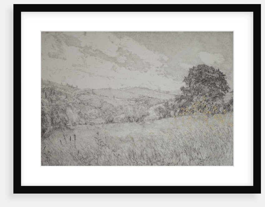 Golden day, 2016 by Angus Hampel