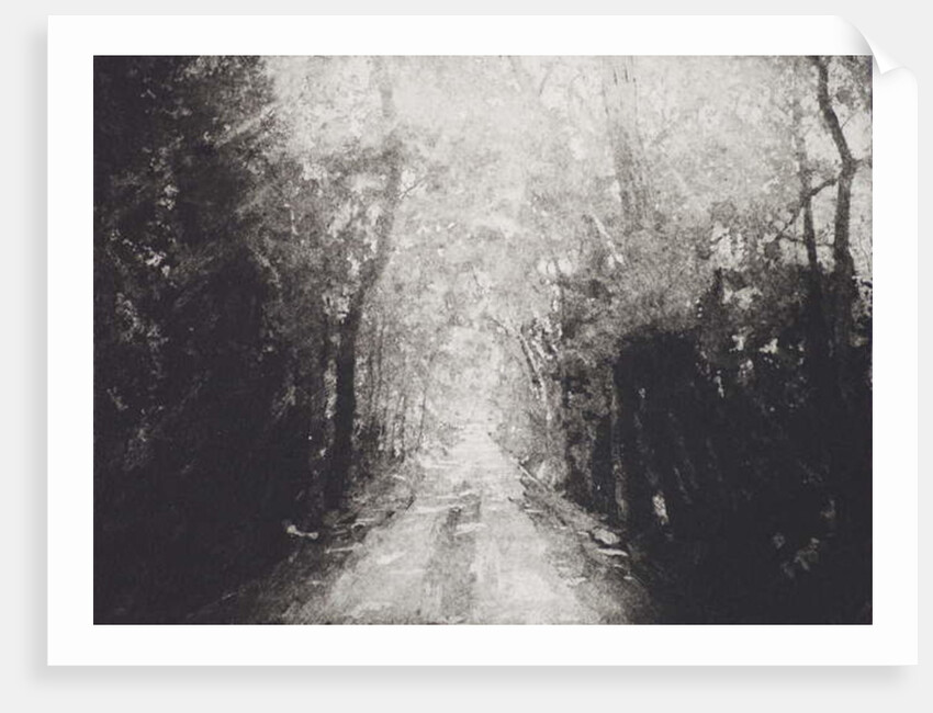 Hallelujah, 2016 by Angus Hampel