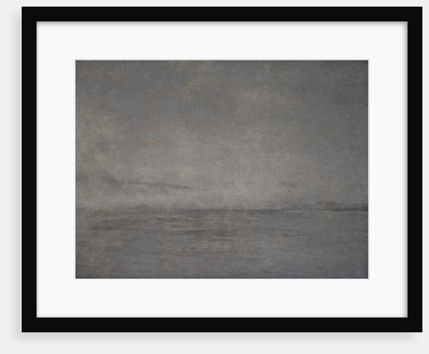 Soaring high, 2016 by Angus Hampel