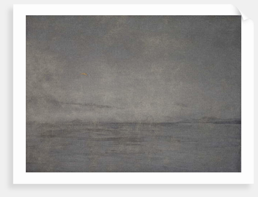 Soaring high, 2016 by Angus Hampel