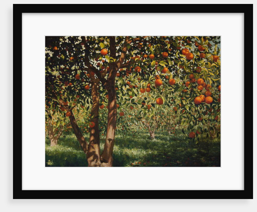 Silence under the oranges II, 2012 by Angus Hampel