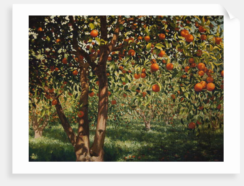 Silence under the oranges II, 2012 by Angus Hampel