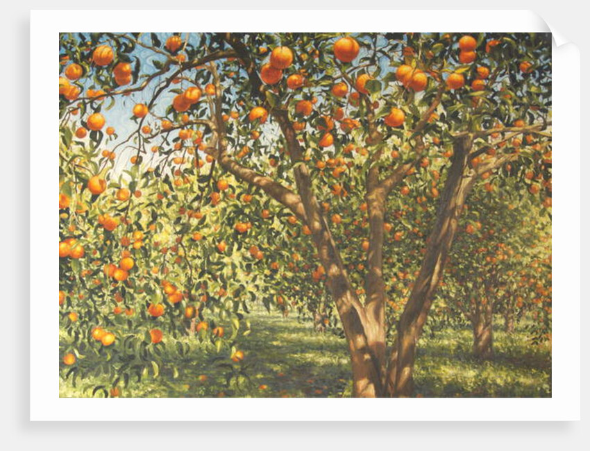 Silence under the oranges I, 2012 by Angus Hampel