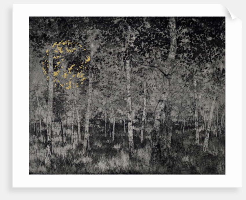 Our secret, 2018 by Angus Hampel