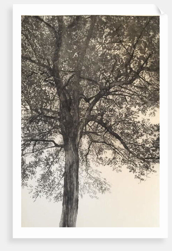 Portrait of my mother, 2018 by Angus Hampel