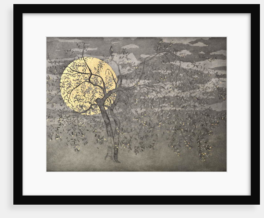 Flamenco poise, 2018 by Angus Hampel