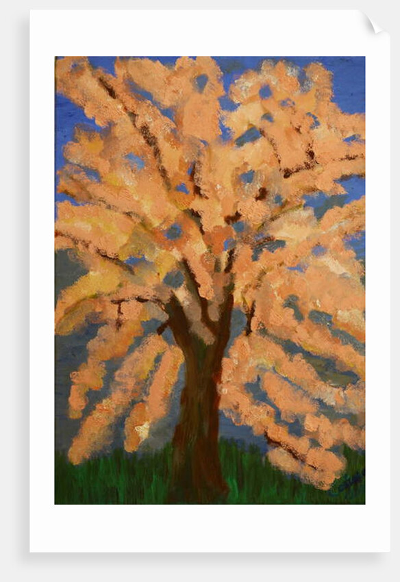 Cherry blossom, Spring London, 2016 by Cosima Duggal