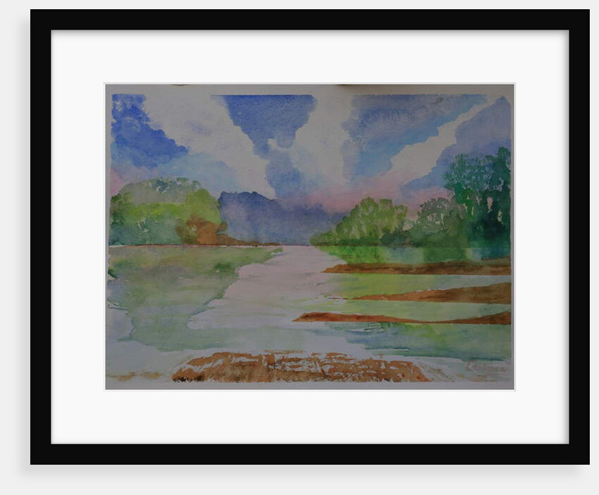 River, Dittsham, Devon by Cosima Duggal