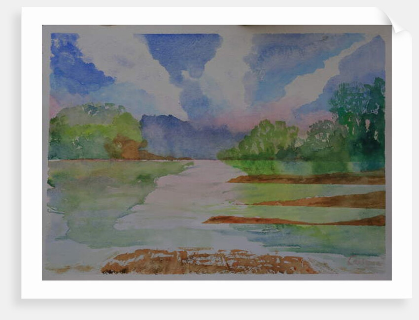 River, Dittsham, Devon by Cosima Duggal